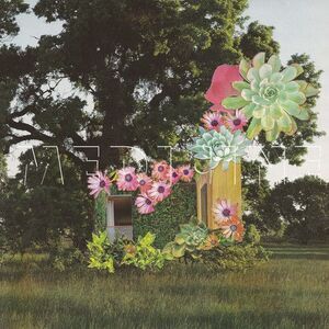 Medicine - Home Everywhere  LP LP
